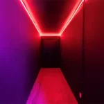 Essential Facts to Know About Red Light Therapy